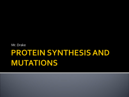 protein synthesis and mutations