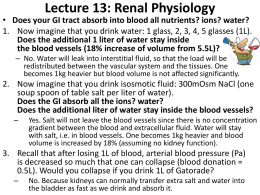 Lecture 13: Kidney