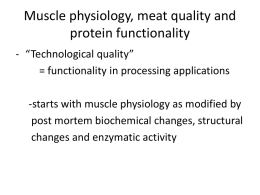 Muscle physiology, meat quality and protein functionality