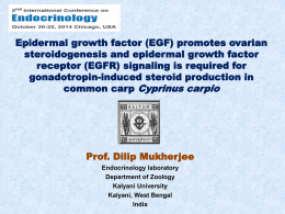 Epidermal growth factor (EGF) promotes ovarian steroidogenesis