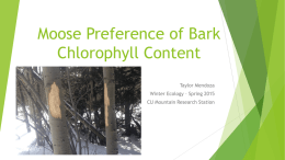 Chlorophyll Conc