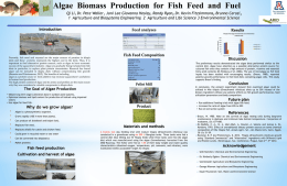 Algae Fish Feed Posterx - College of Agriculture and Life Sciences