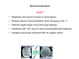 Biomineralization - Bryn Mawr College