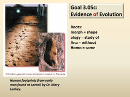 Goal 3.05c: Evidence of Evolution Roots