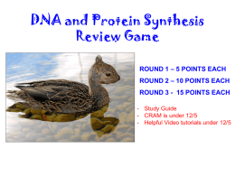 Protein Synthesis Review Game File