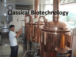 Classical Biotechnology File