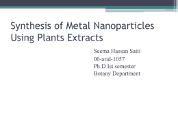 Synthesis of Metal Nanoparticles Using Plants Extracts