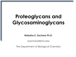 Hyaluronan and Proteoglycans