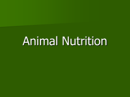 Animal Nutrition Powerpoint