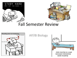 Fall Semester Review - mychandlerschools.org