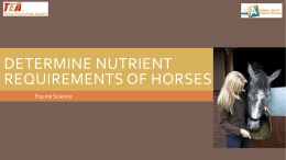 Lesson 02A Nutritional Requirements of Horses PPT