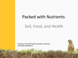 Soil, Food and Health