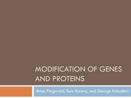 Modification of Genes and Proteins - sharonap-cellrepro-p3