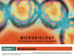 Chapter 7 Microbial Genetics
