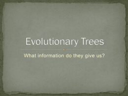 Evolutionary Trees