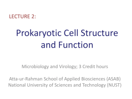 Prokaryotic Cell Structure and Function - ASAB-NUST
