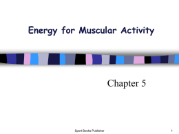 Energy For Muscular Activity