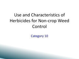 Use and Characteristics of Herbicides for Non