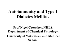 Autoimmunity and Type 1 Diabetes Mellitus