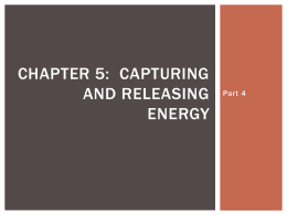 Chapter 5: capturing and releasing energy