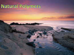 Natural Polymers What is a Polymer?
