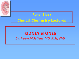 L3-Kidney_Stones_Renal_Block_27Apr2014