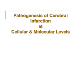 Cell death mechanisms in cerebral ischemia