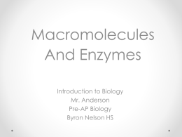 Macromolecules and Enzymes.pot