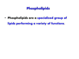 phospho lipidsx