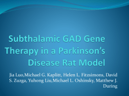 Subthalamic GAD Gene Therapy in a Parkinson*s Disease Rat Model