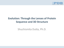 Evolution - RCSB PDB