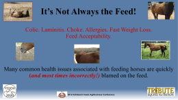It`s not always the feed! - 2017 Kalmbach Feeds Agribusiness