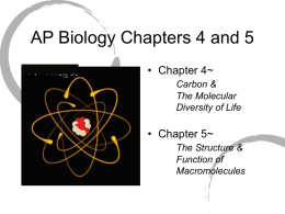 AP B 4,5 - apbiologyclass