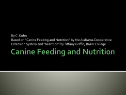 Canine Feeding and Nutrition