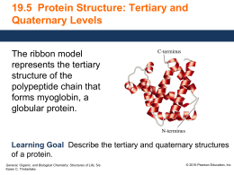 5 Protein Structure Tertiary Quaternary GOB Structures