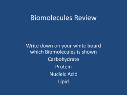 Biomolecules Review