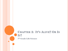 Chapter 2: It*s Alive!! Or Is It?