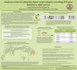 Analyses of the E3 ubiquitin-ligase target adapter