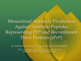 Monoclonal Antibody Production Against Synthetic Peptides