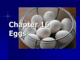 Chapter 16 Eggs