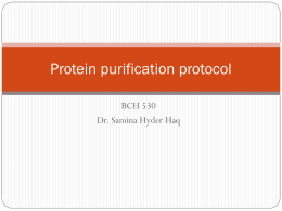 Protein purification protocol by Dr. Samina Hyder Haq