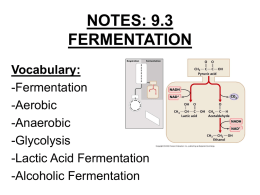 Fermentation - wvhs.wlwv.k12.or.us