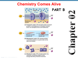 Chem ppt for lecture, part 2 File