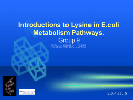 Find the metabolic pathways involved in the synthesis of the Lysine