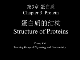 Structure of Proteins