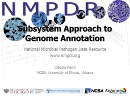 Subsystem Approach to Genome Annotation