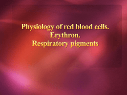 17 Physiology of red blood cells. Erythron. Respiratory pigments