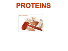 proteins - Center for Biological Physics