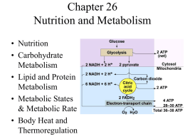 Nutrition and Metabolism(19)