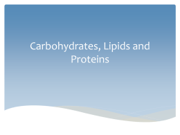 protein - SignatureIBBiology